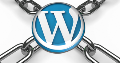 Logo Sicurezza Wordpress